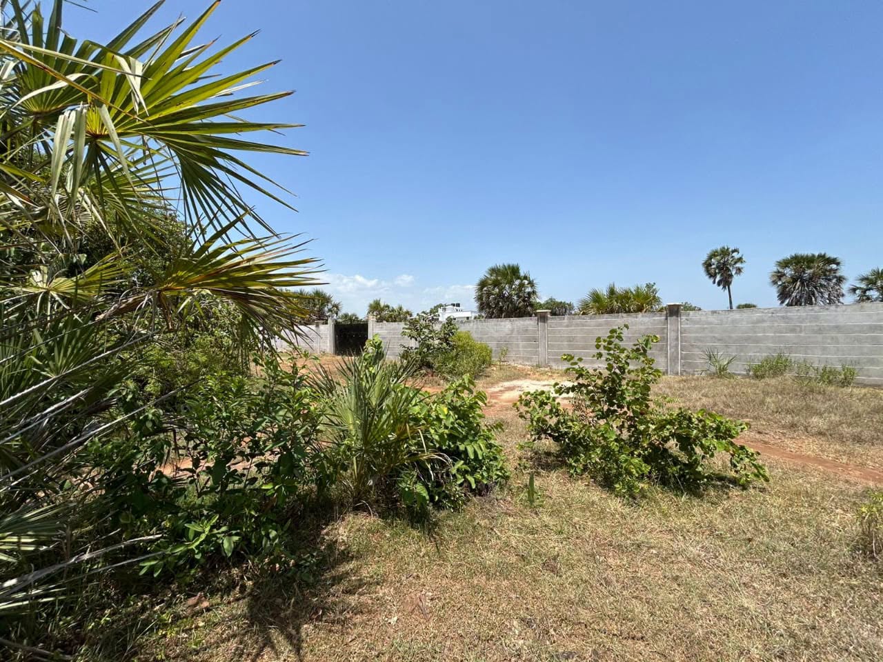 1/4 acre plot for sale in Diani Image