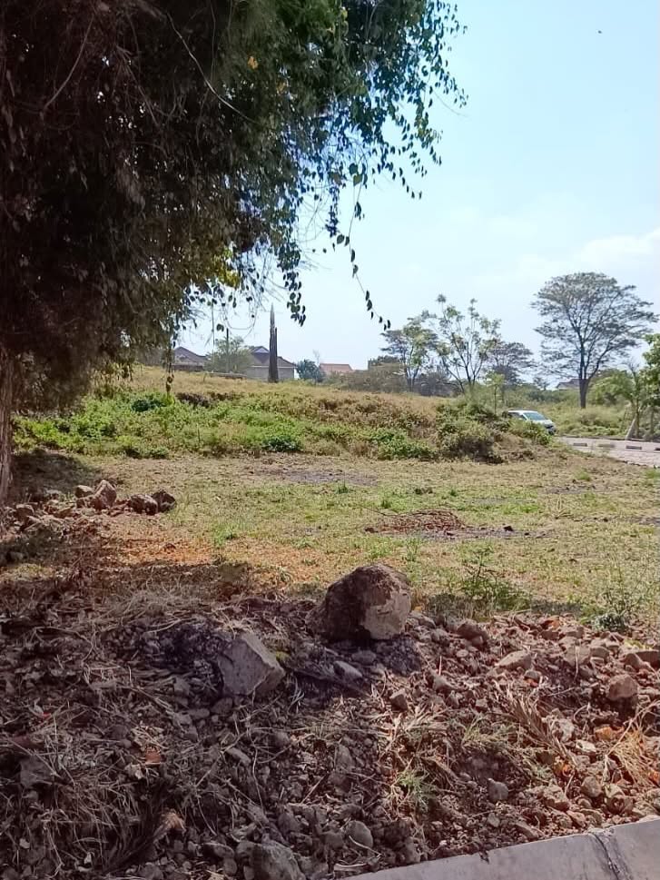 1/4 acre plot for sale in kahawa sukari Image