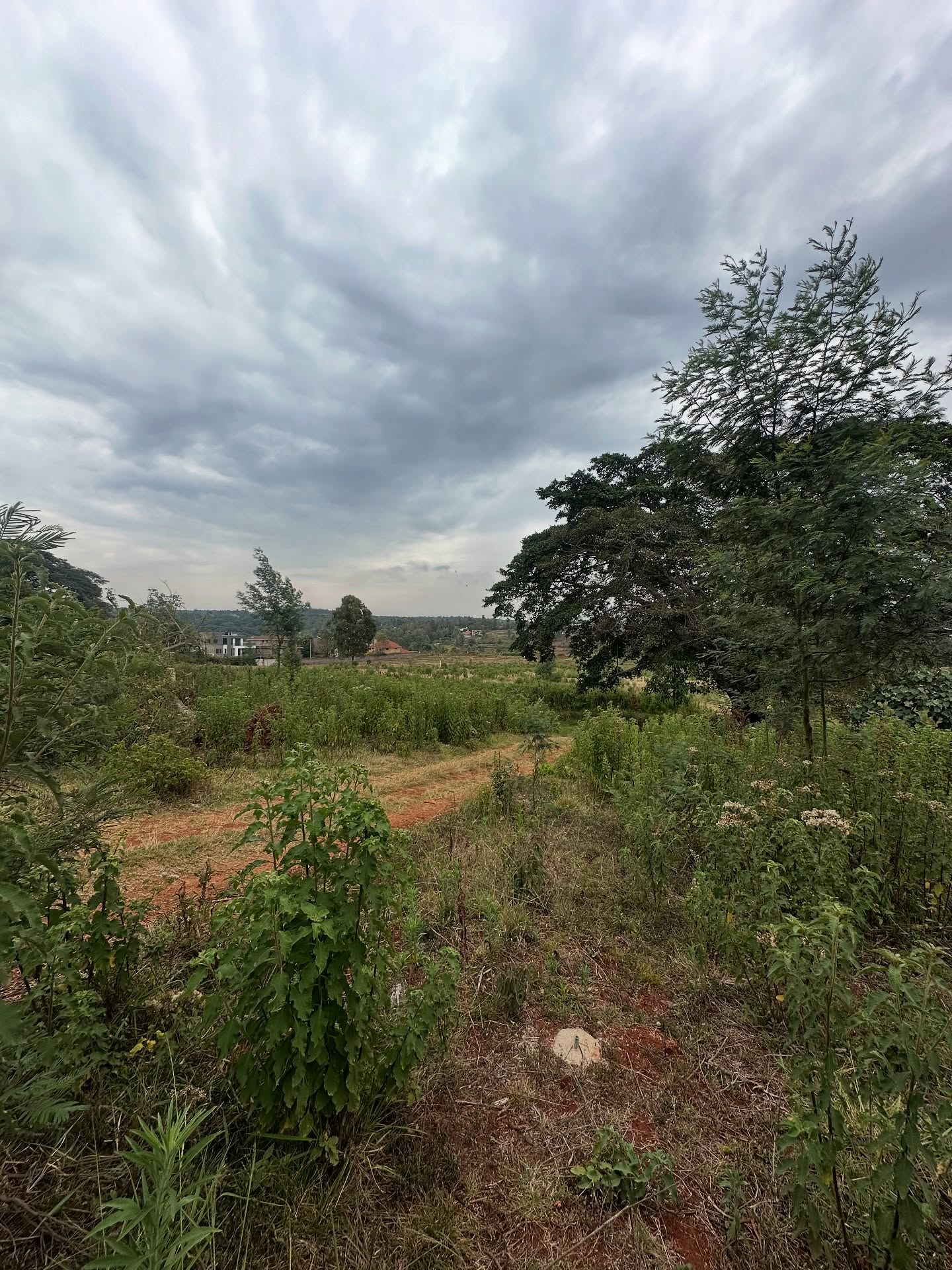 1/4. Acre plot for sale in Kerarapon Drive Image