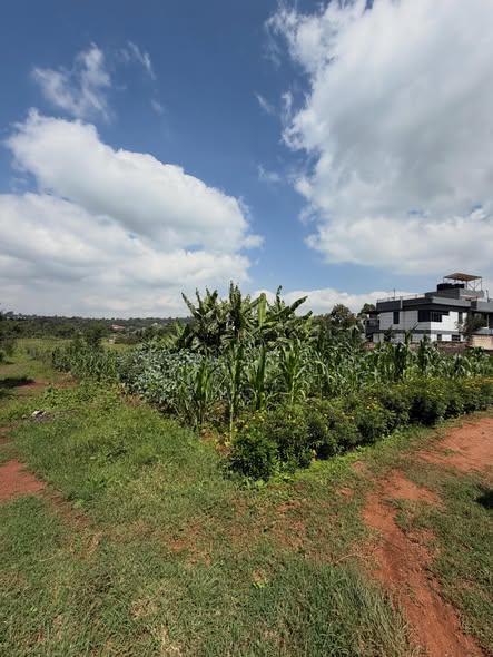 1/4 Acre Plots for Sale in Rose Gate, Kikuyu Image
