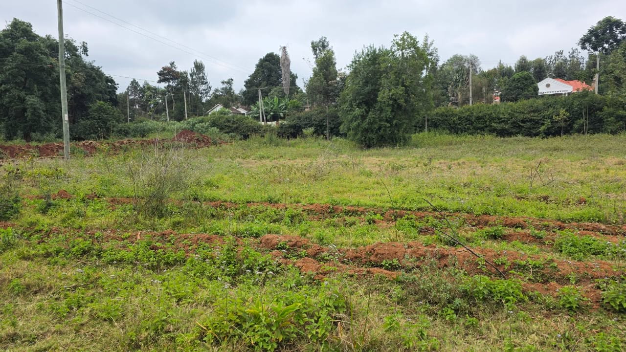 1/4 Acre Prime Plot for Sale in Karen Image
