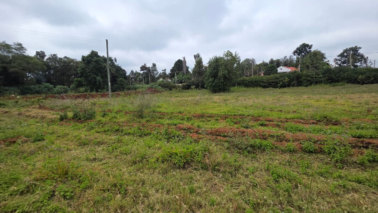 1/4 Acre Prime Plot for Sale in Karen