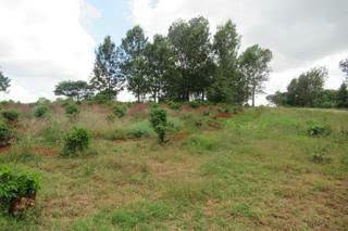 14 acres commercial property for sale in Nyari on redhill road