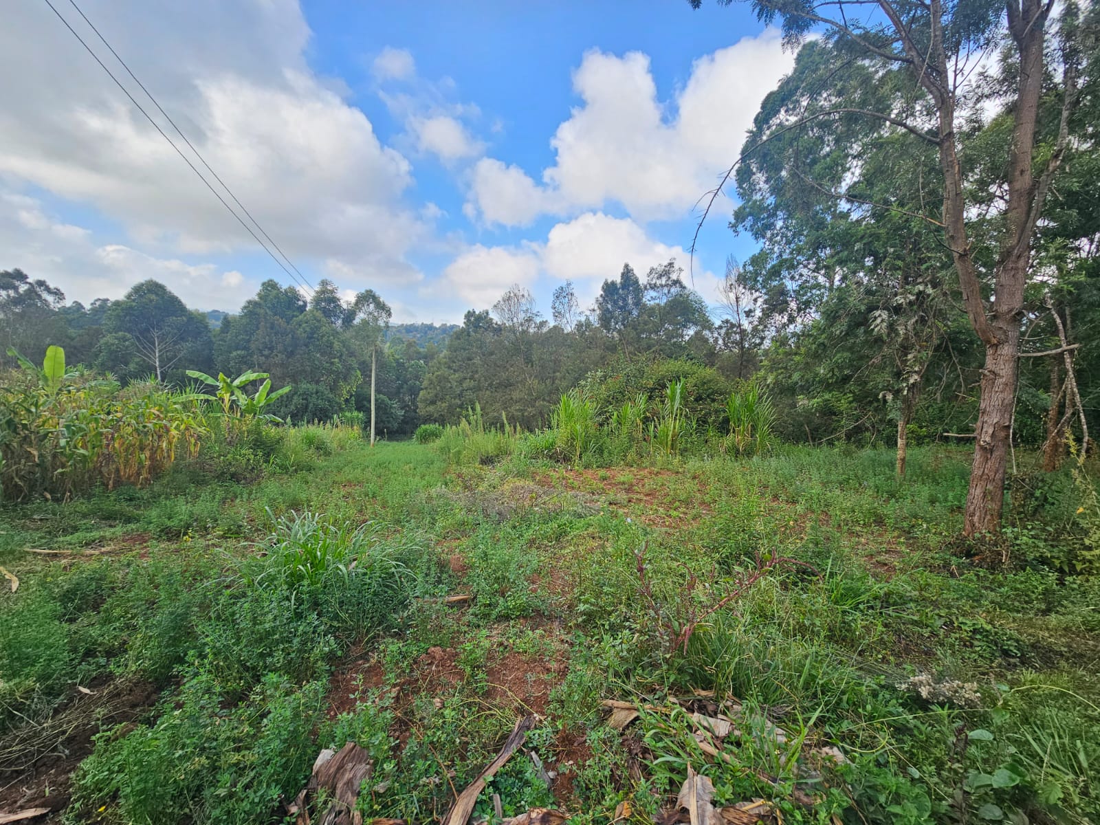 1/4 acres For Sale in Ngong Forest Line Rd.