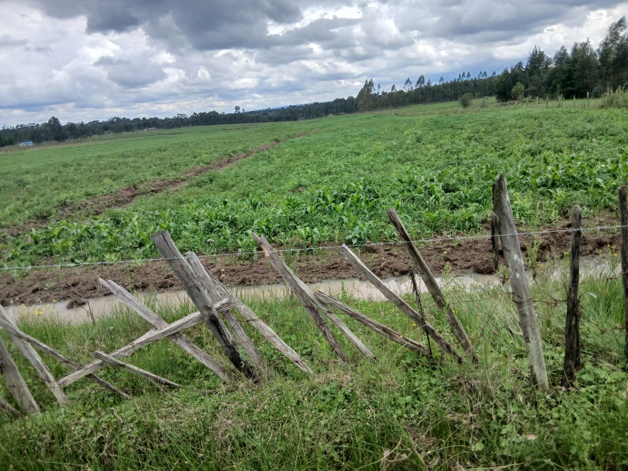 14 acres land for sale in Kiserian Image