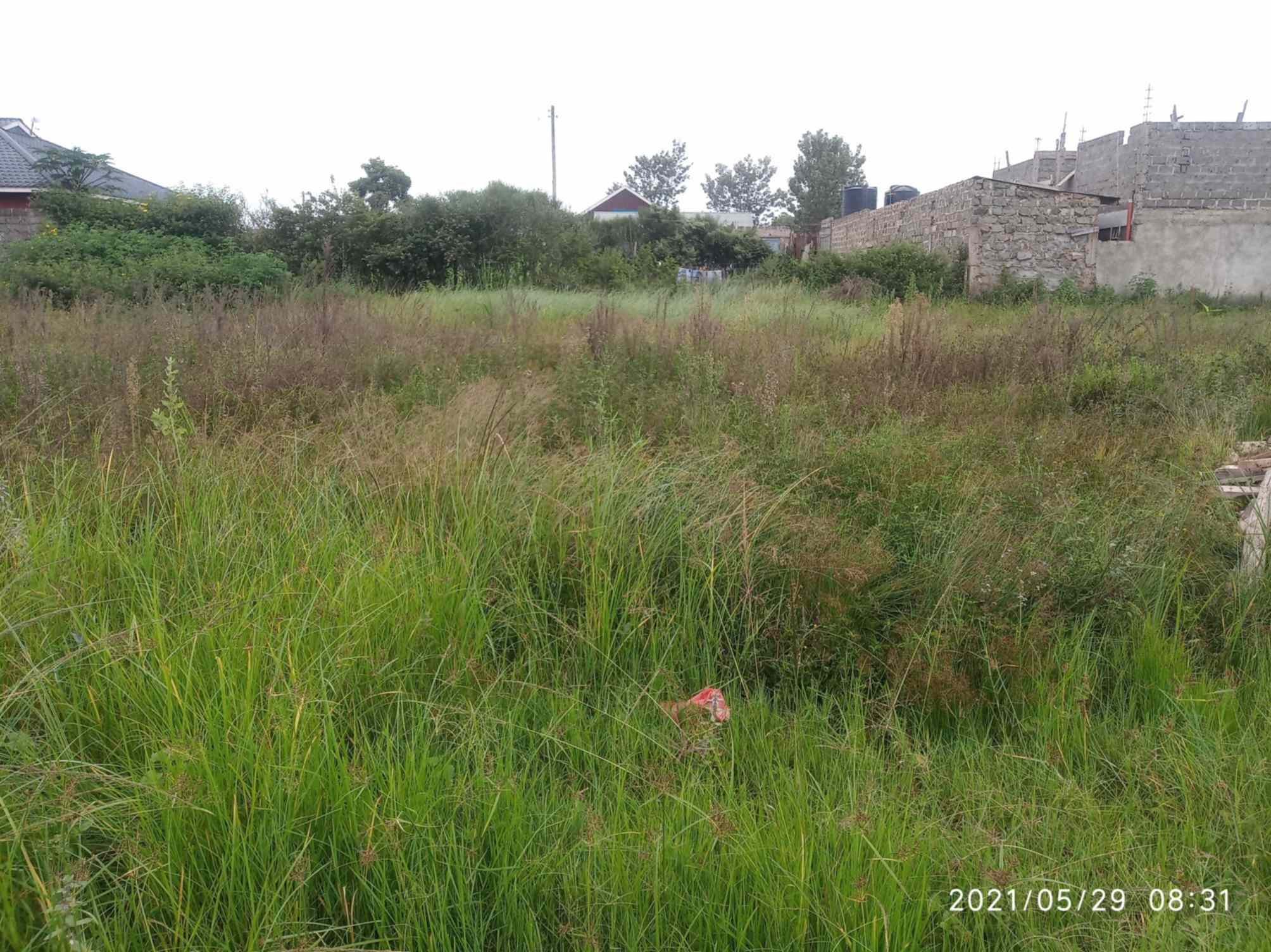 Plot for sale in Ruiru