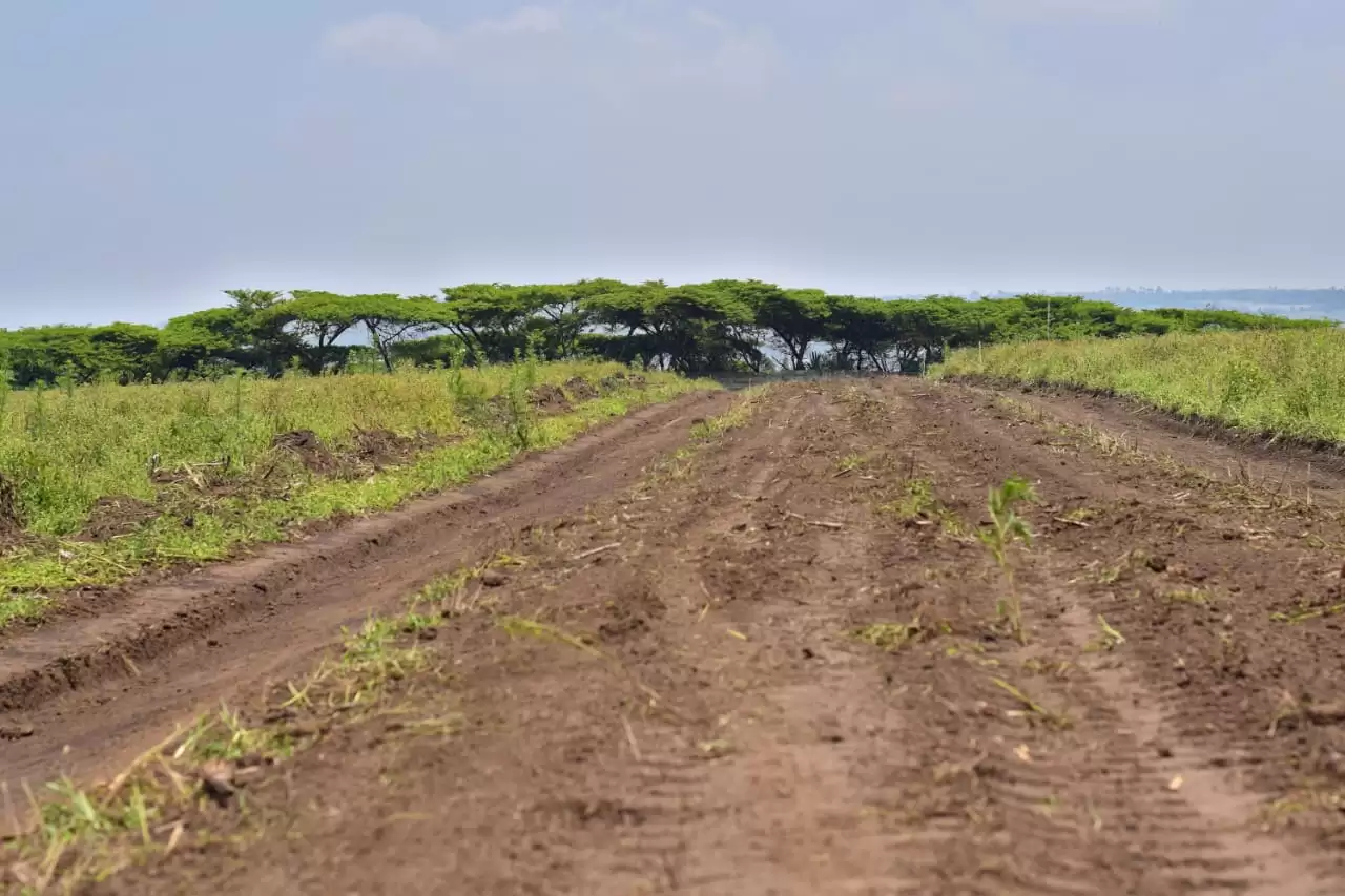 Land for sale in Nakuru, kiamunyi Image