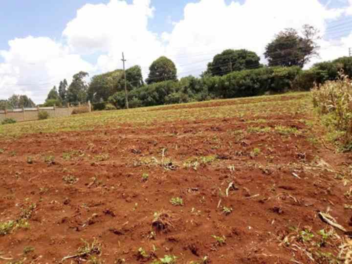 Land for sale in Redhill limuru road