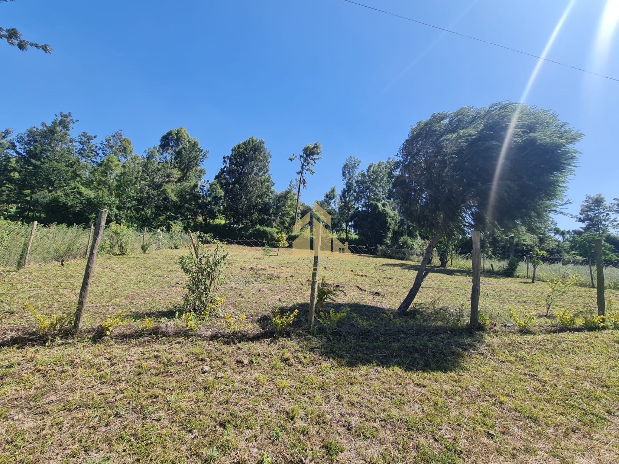 1/4th acre Serviced Plot For Sale in NGONG - OLKERIE PLOT. Image