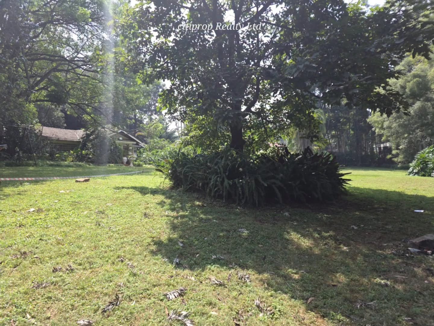 1.5 acre land for sale in Old Kitisuru