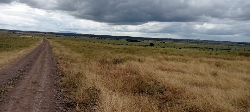 15 ACRES LAND FOR SALE IN ISINYA, KAJIADO COUNTY