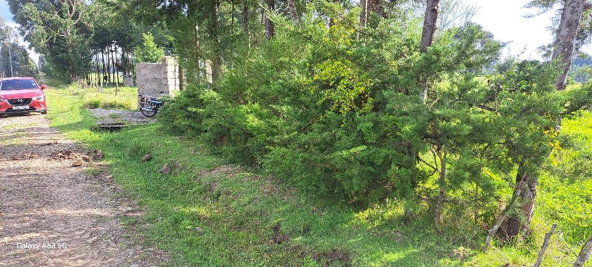1.5 acres land for sale in Karen, Hardy Image