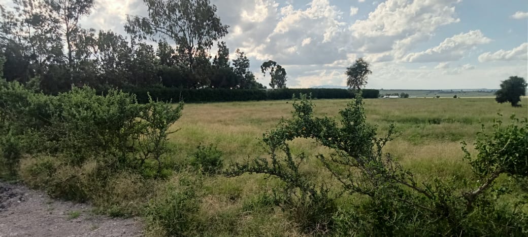 15 ACRES LAND FOR SALE IN NAMANGA, KAJIADO COUNTY