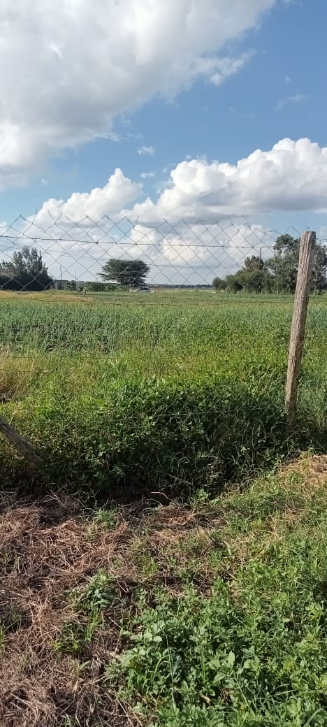 15 ACRES LAND FOR SALE IN NAMANGA, KAJIADO COUNTY