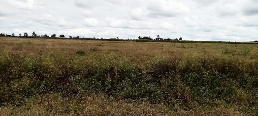 15 ACRES PRIME LAND FOR SALE IN ISINYA, KAJIADO COUNTY