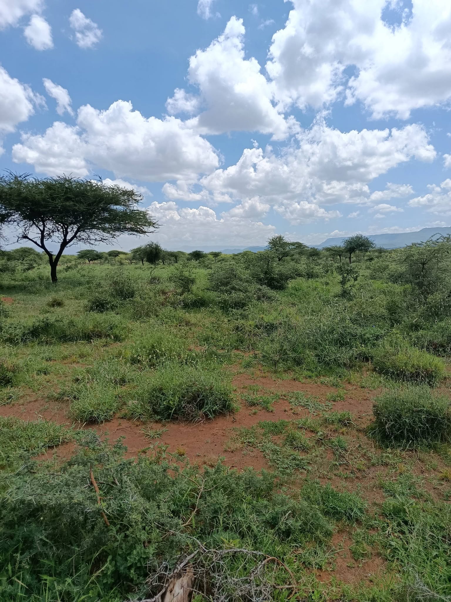 155 acre land for sale in Nga'tataek, Nairobi Namanga road Image