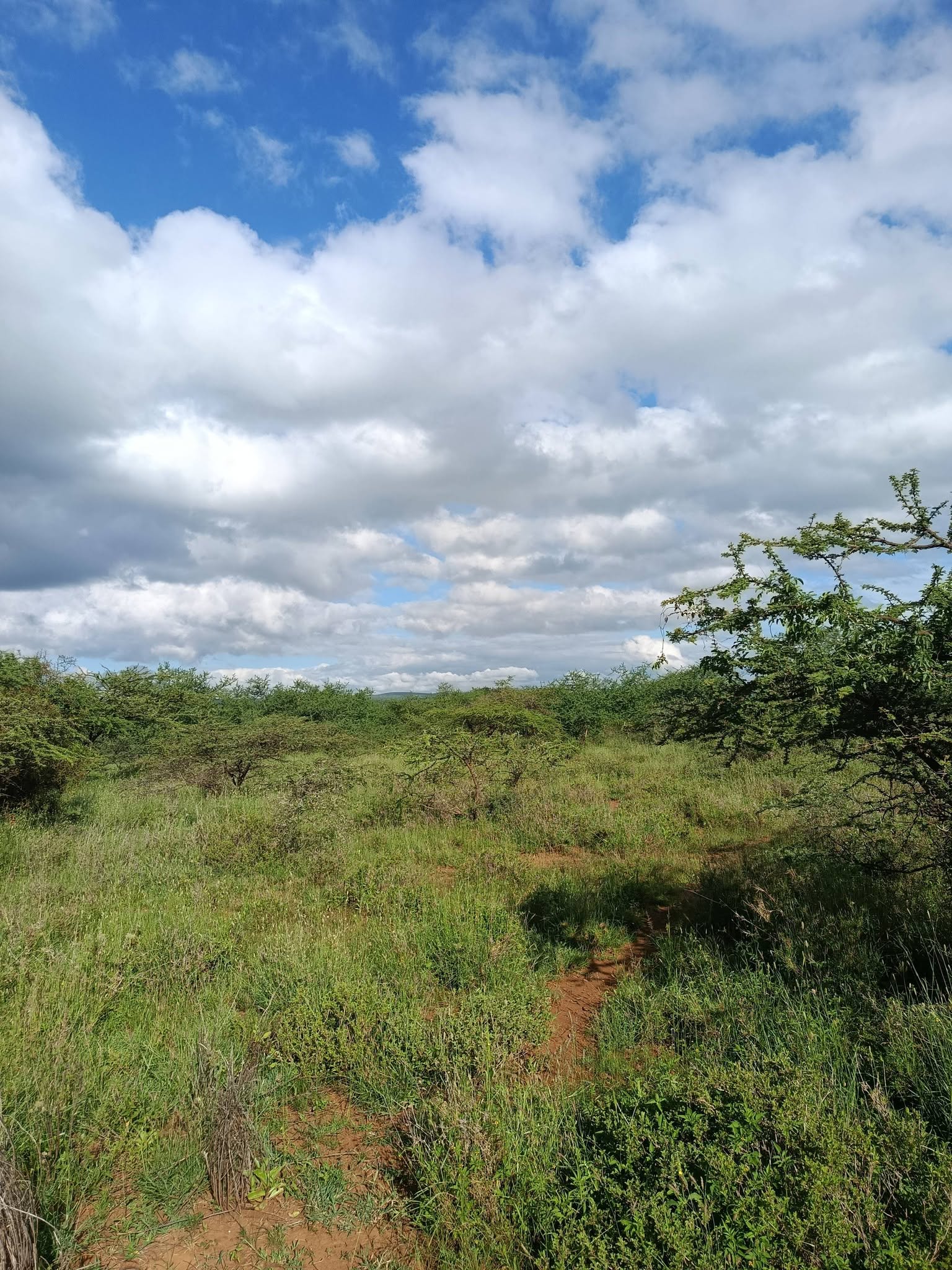 155 acre land for sale in Nga'tataek, Nairobi Namanga road