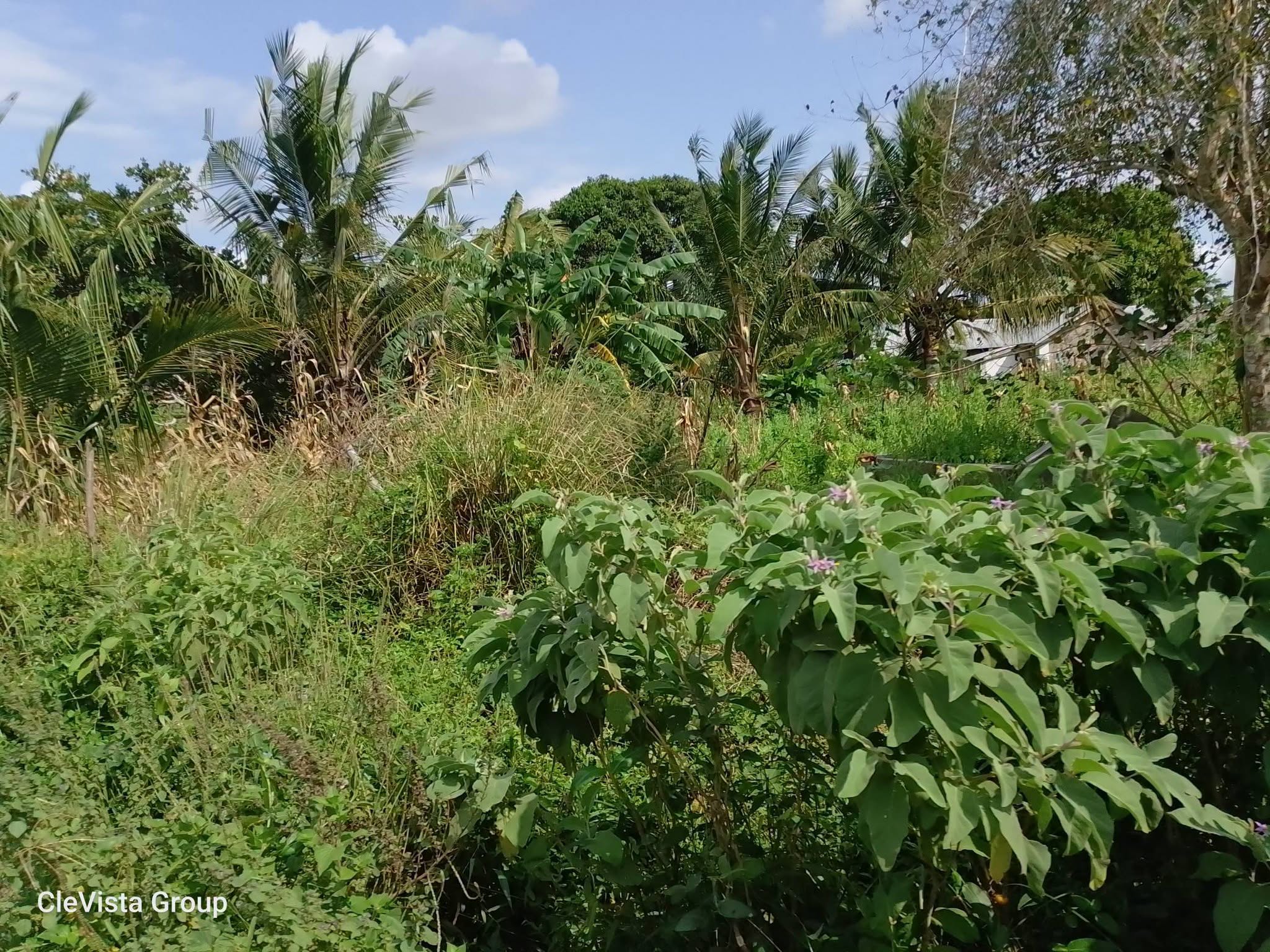 159 acre land for sale in perani, kidomaya Image