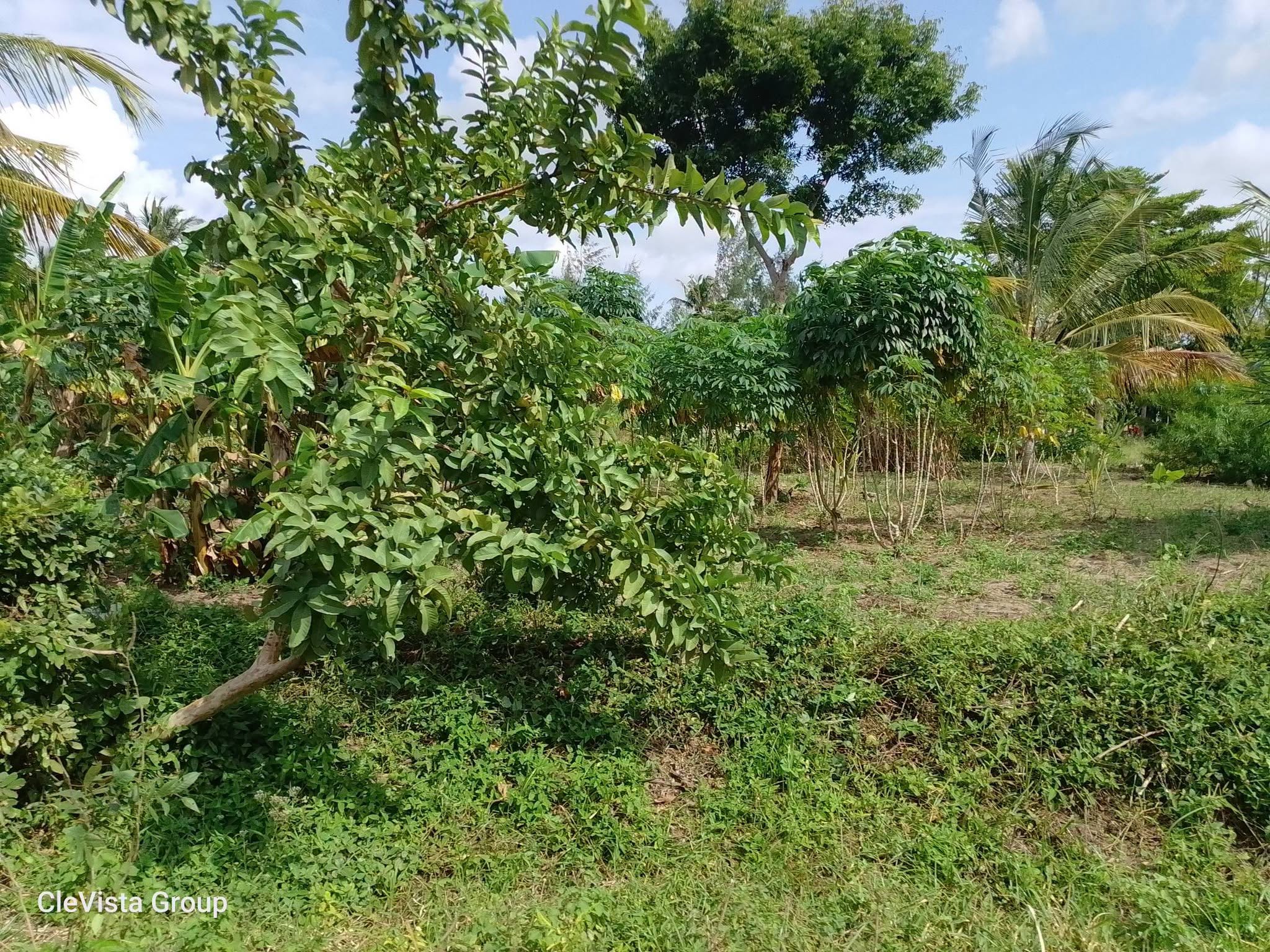 159 acre land for sale in perani, kidomaya