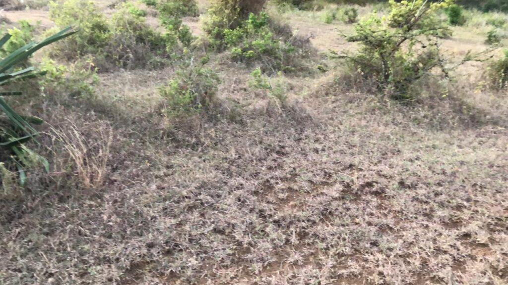 16-Acre Commercial Plot For Sale in Miritini – Near Mombasa Industrial Park