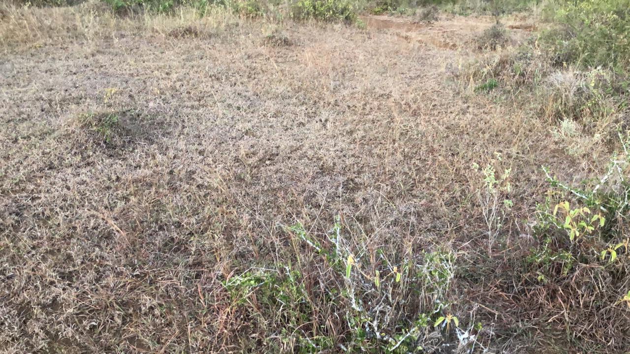 16-Acre Commercial Plot For Sale in Miritini – Near Mombasa Industrial Park Image