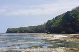 167.5 acres for sale in Vipingo