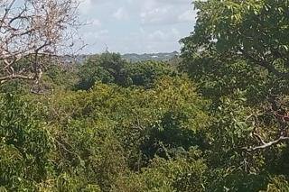 167.5 acres for sale in Vipingo Image