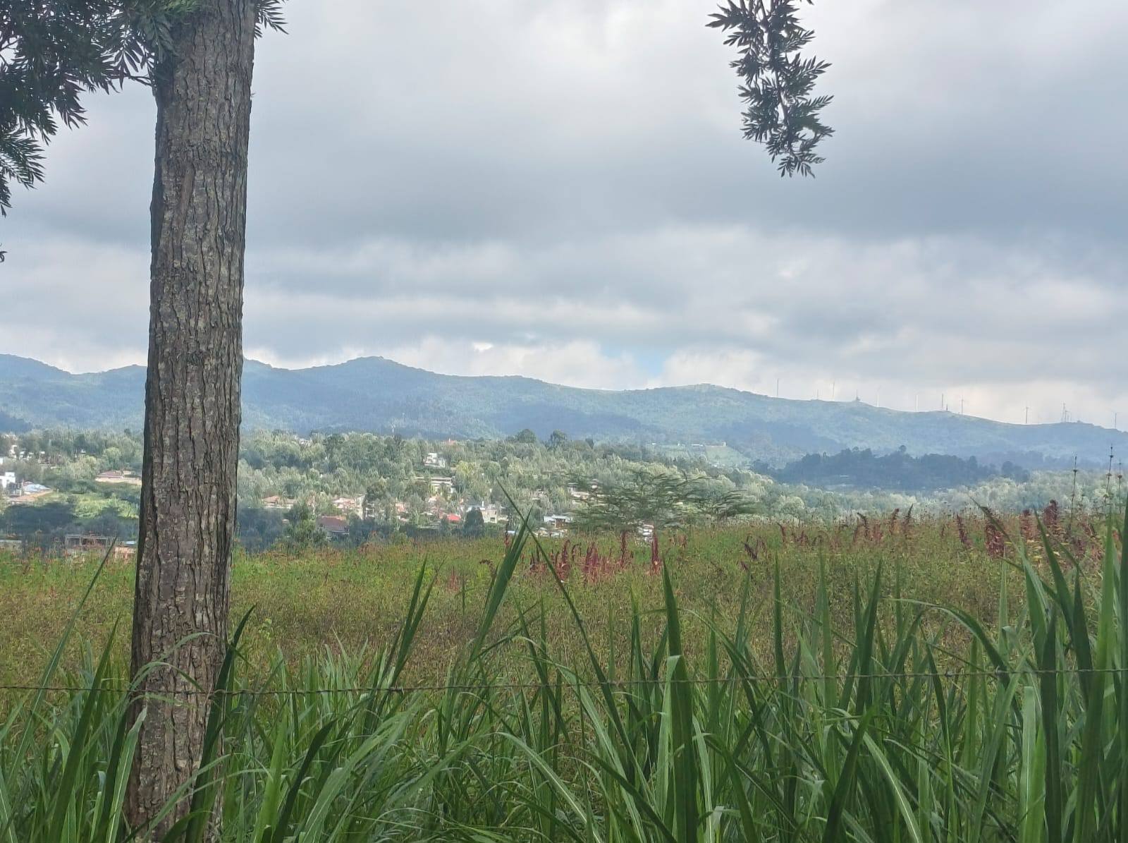 17 ACRES PRIME LAND FOR SALE – OLOIKA, MATASIA-NGONG