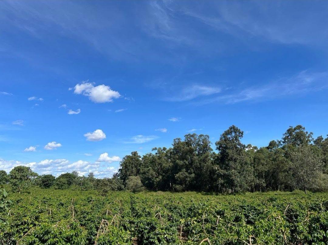 174 acre land for sale in juja, gatundu road
