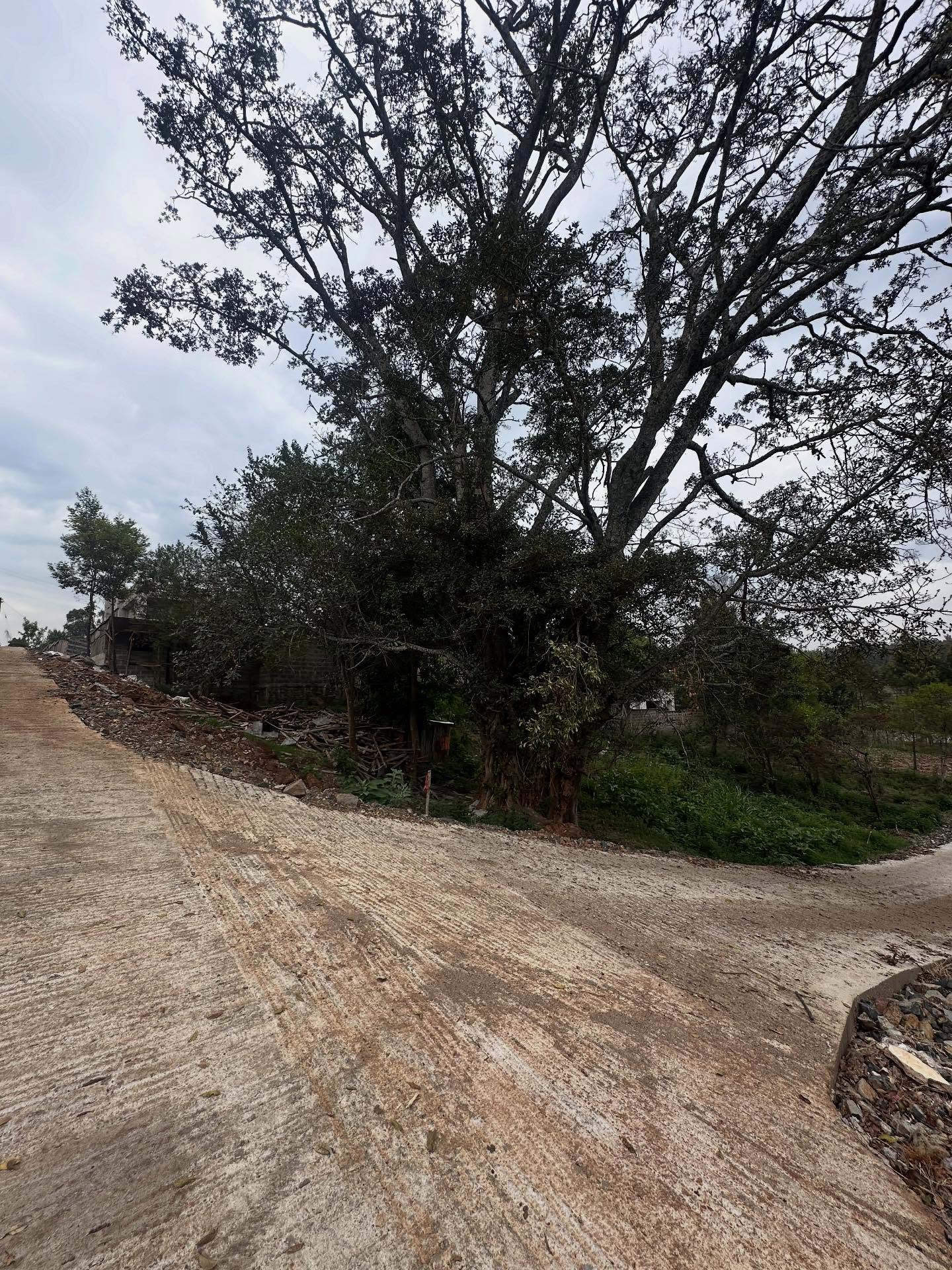 1/8 acre plot for sale in Kerarapon Drive