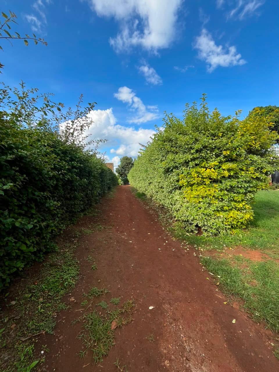 1/8 Acre Plot For Sale in NEW KITISURU | OFF GETHATHURU ROAD
