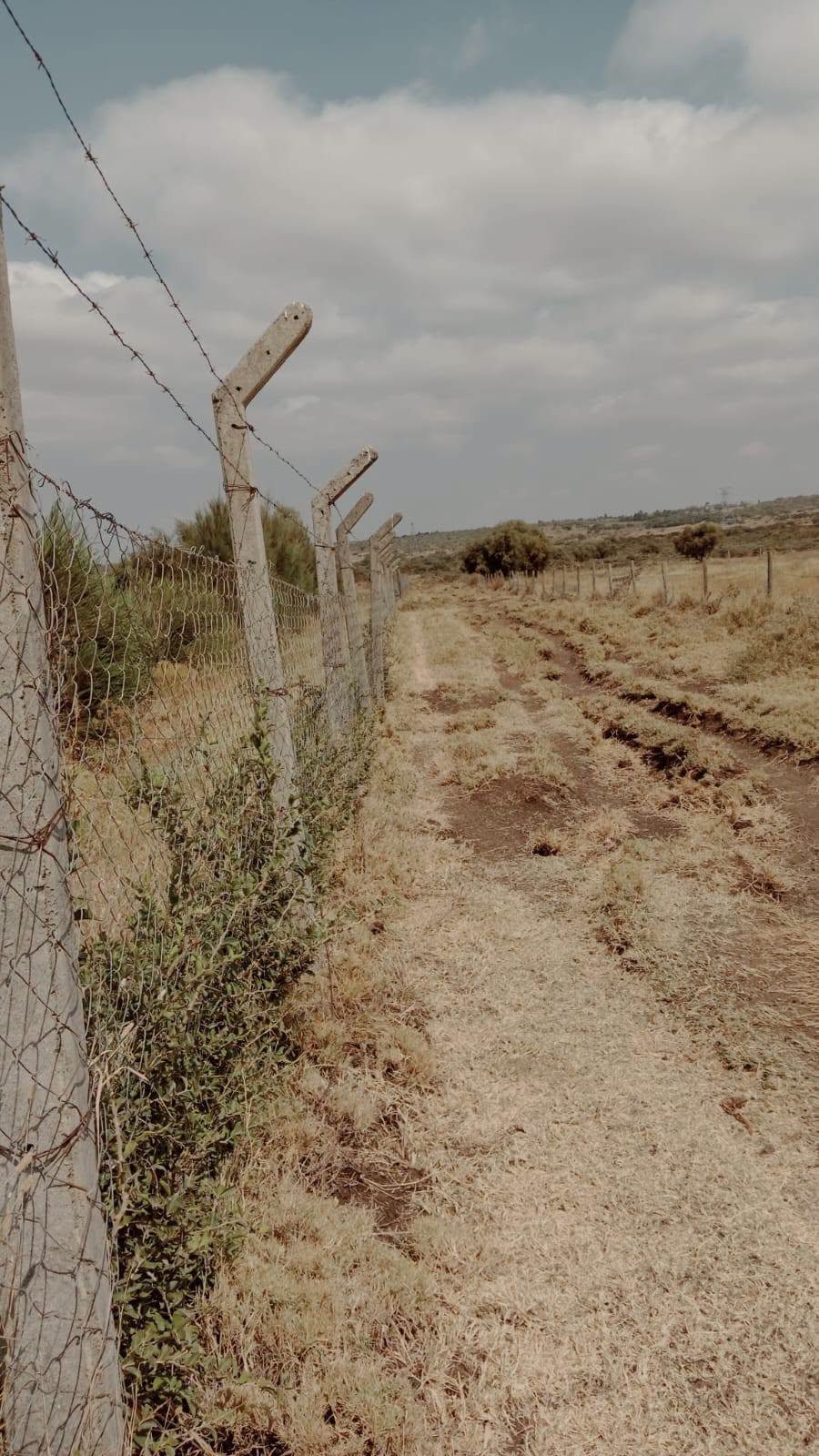 1/8 acre plot for sale in ngong (kwa sakuda), kimuka Image