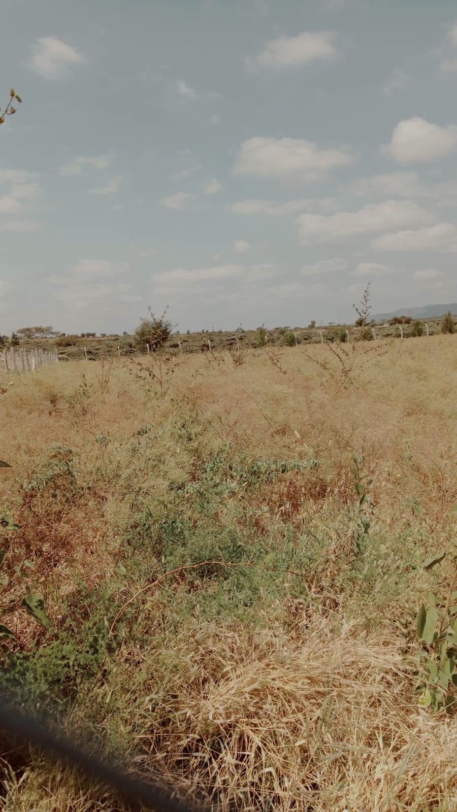 1/8 acre plot for sale in ngong (kwa sakuda), kimuka Image