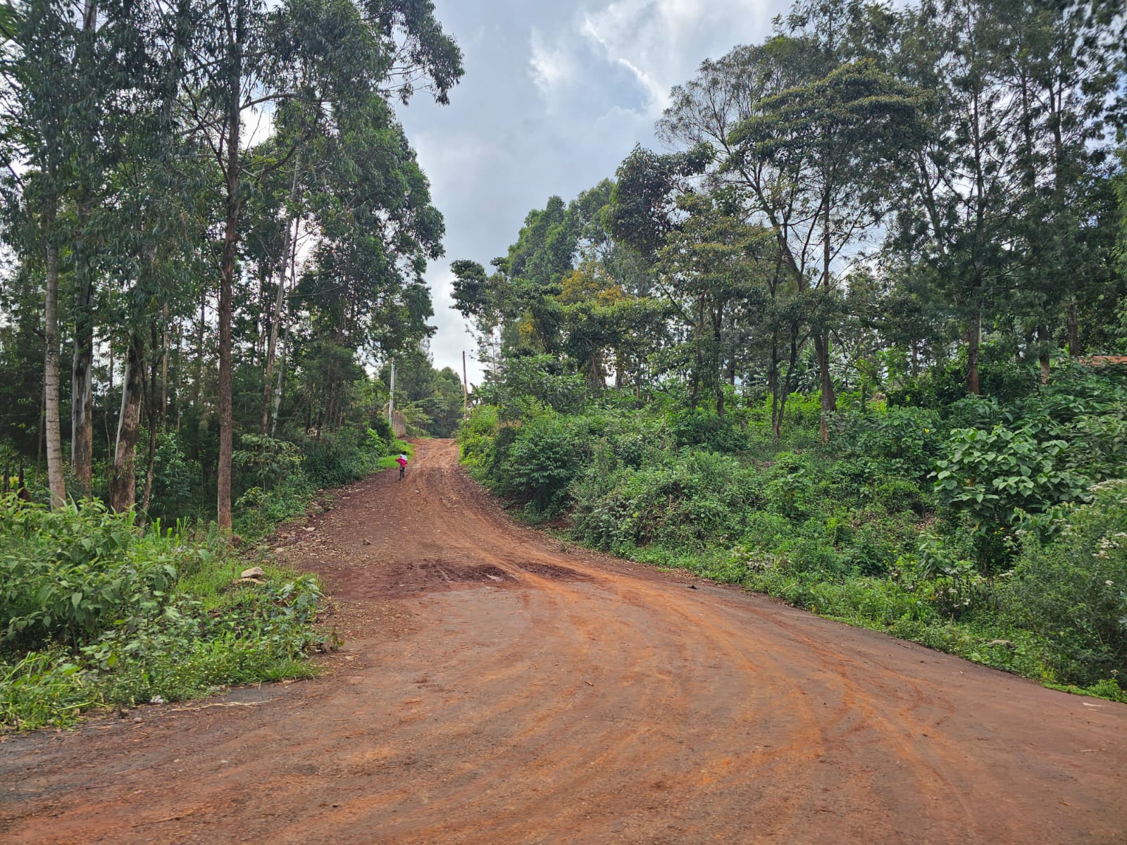 1/8 Acre Plots for Sale – Muchatha, Image