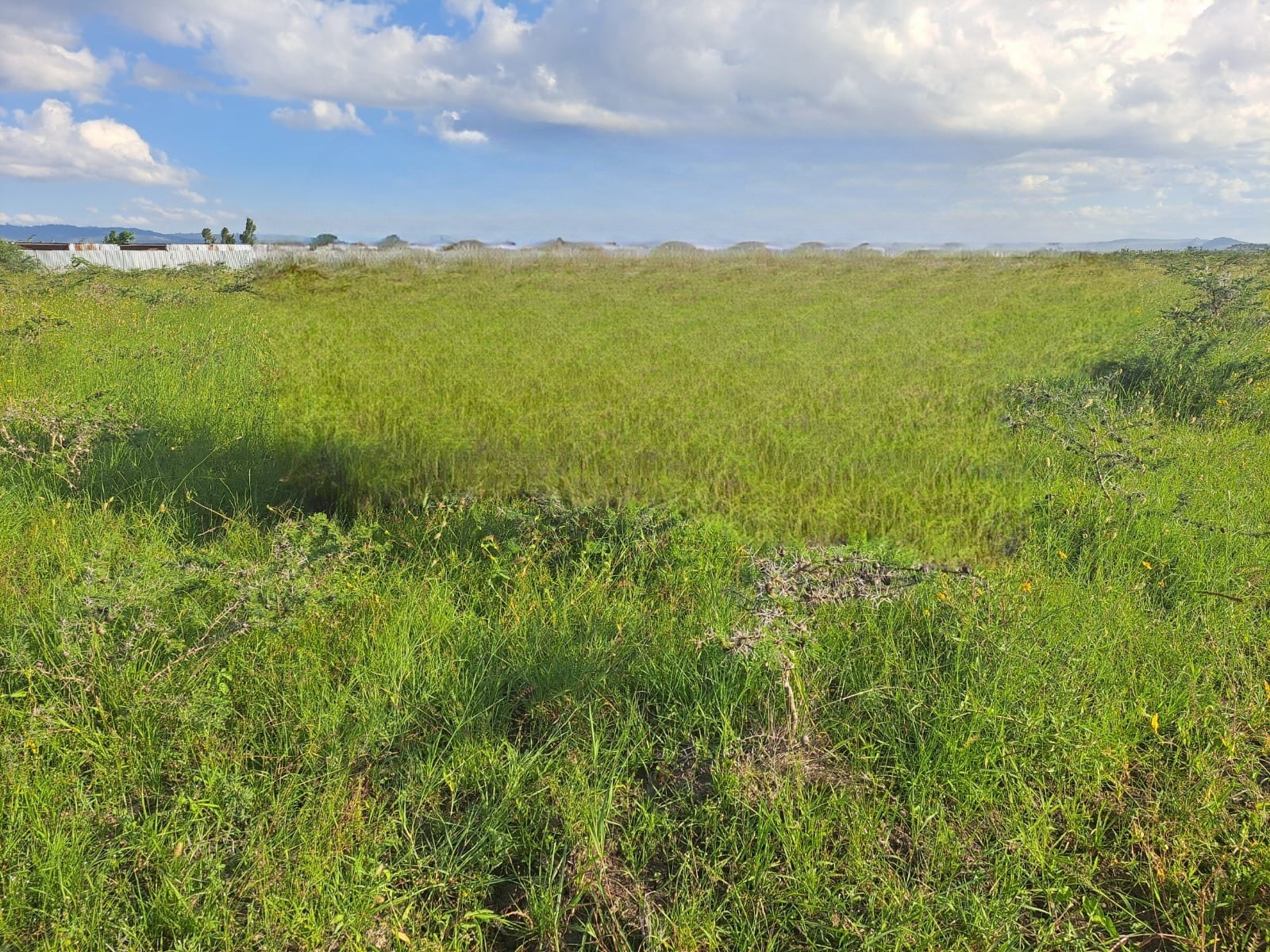1/8 acres for sale in Malaa Image