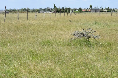 1/8 acres for sale in Malaa