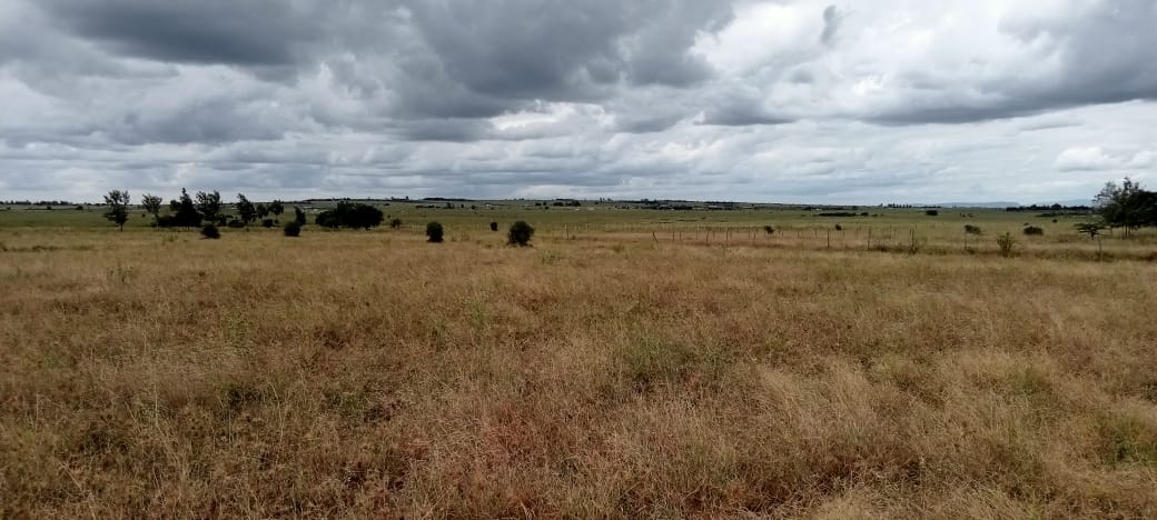 18 ACRES LAND FOR SALE IN ISINYA, KAJIADO COUNTY