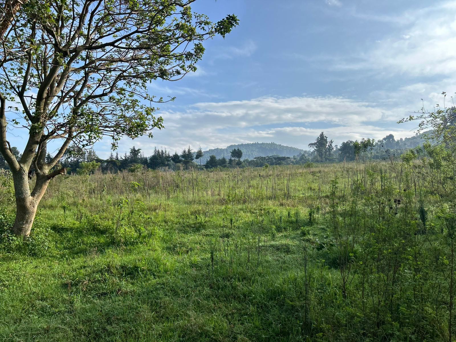 18.9 acre land for sale in dundori, nakuru