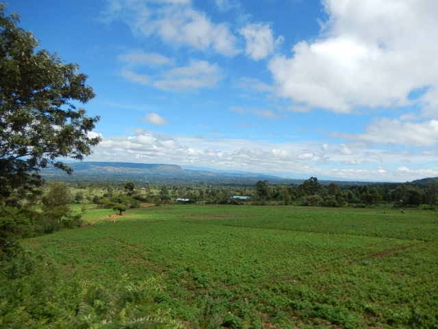 18.9 acre land for sale in dundori, nakuru Image