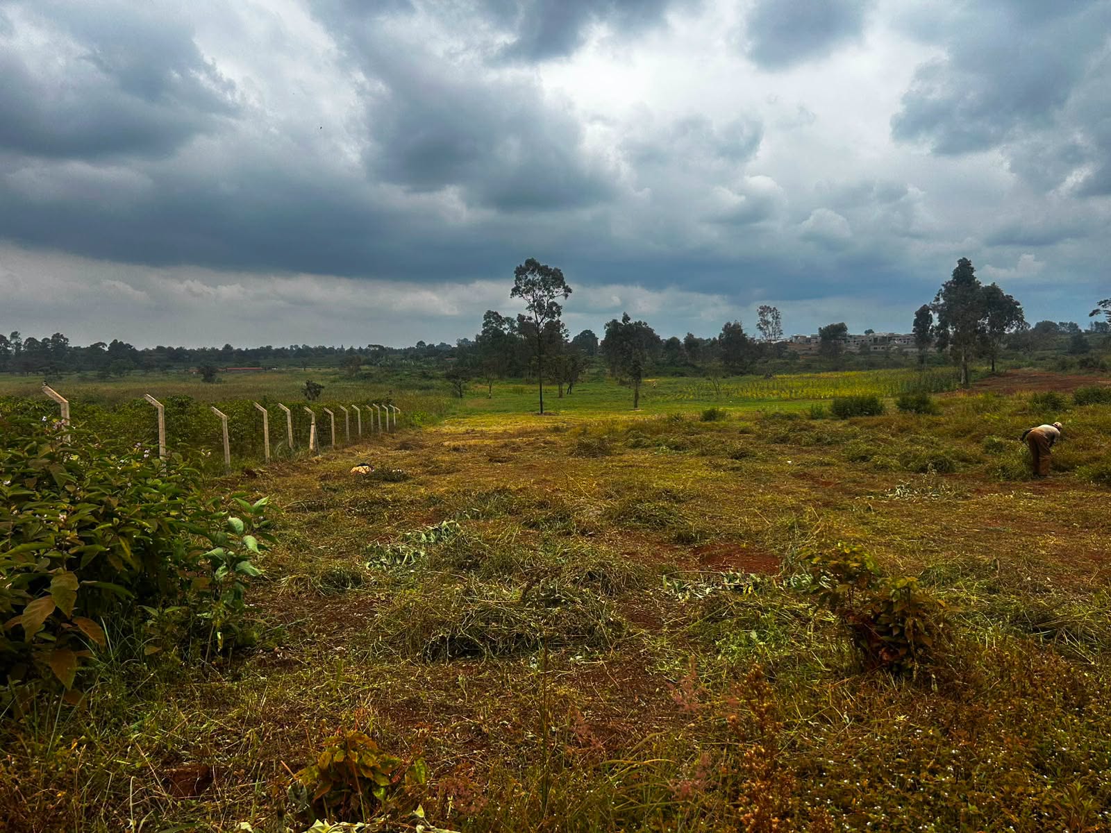 19 acre land touching chania river for sale in gatanga