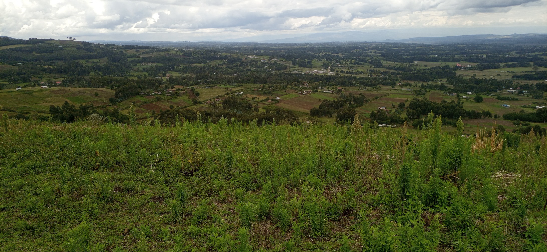 1Acre Plot For Sale in Lavington, Tende Drive Image