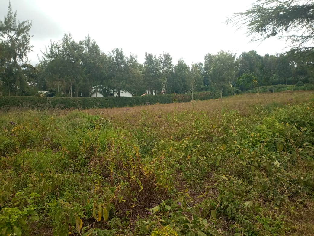 2 acre land for sale in Buruburu