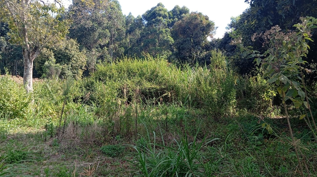 2 acre land for sale in Karen Image