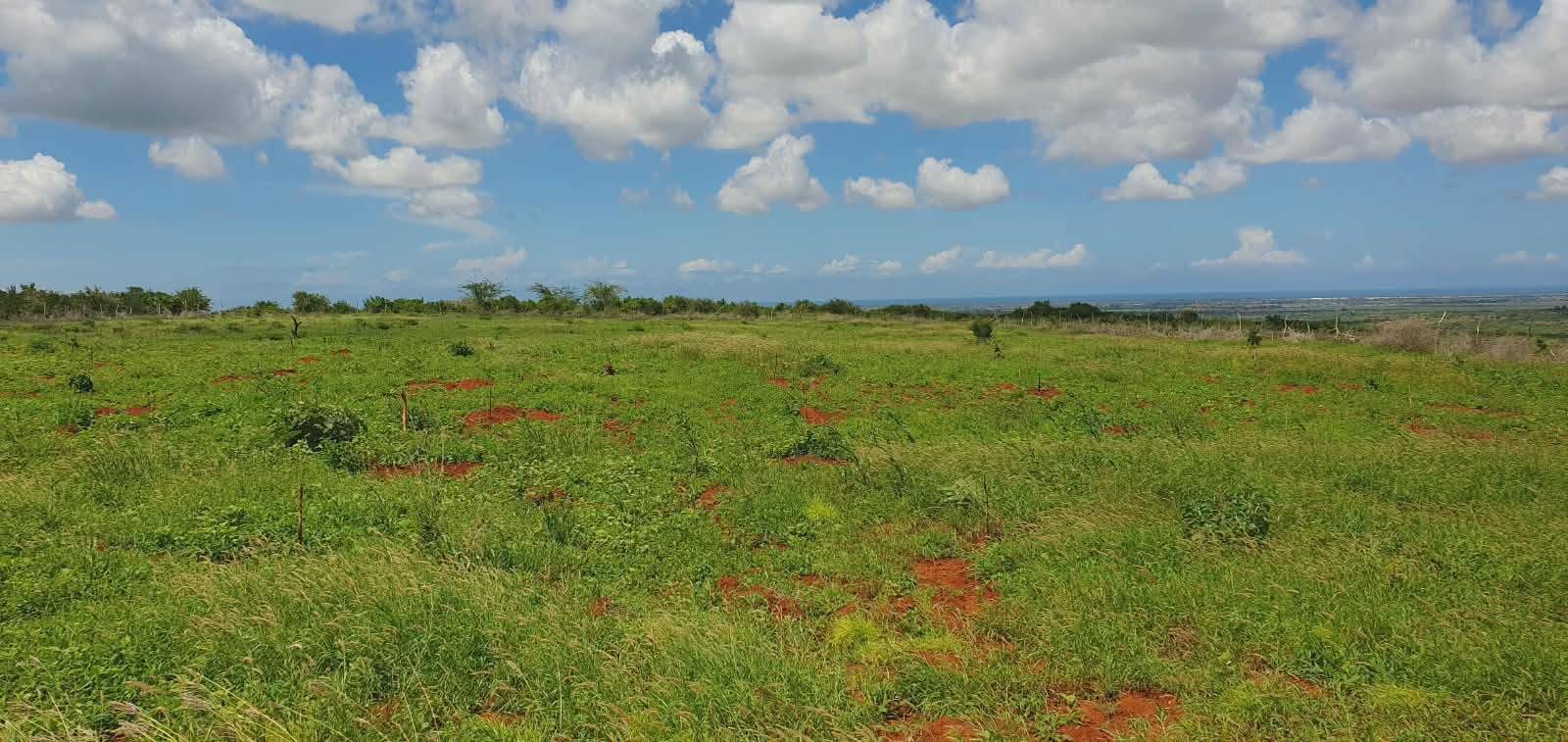2 acre land for sale in paradise gardens, malindi