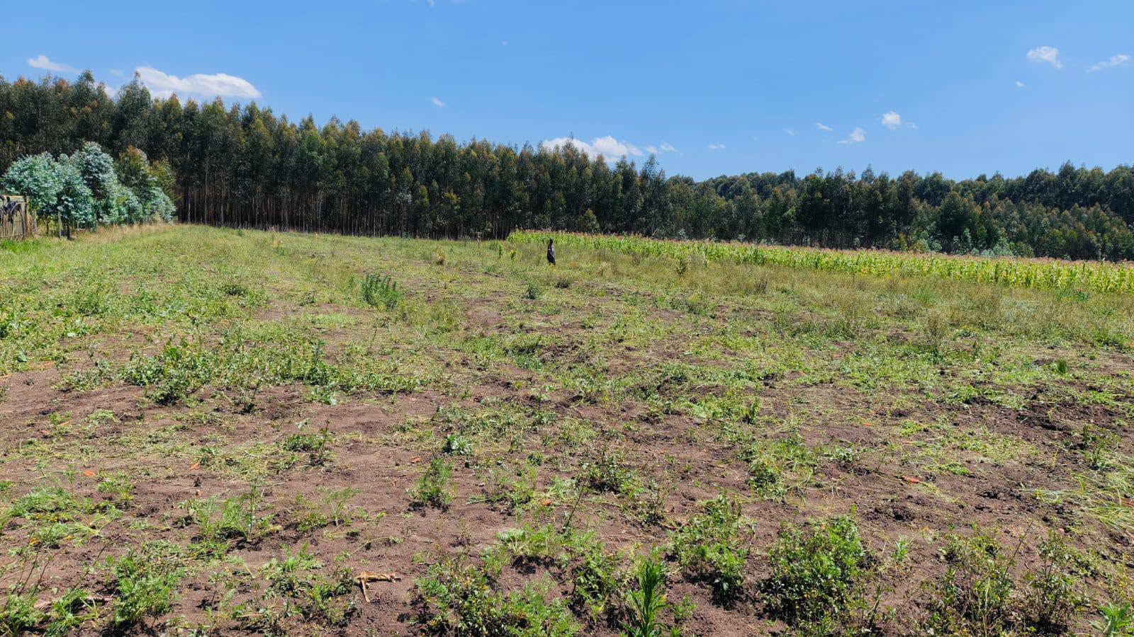 2 acres agricultural land for sale in jilet wanjohi, kipipiri