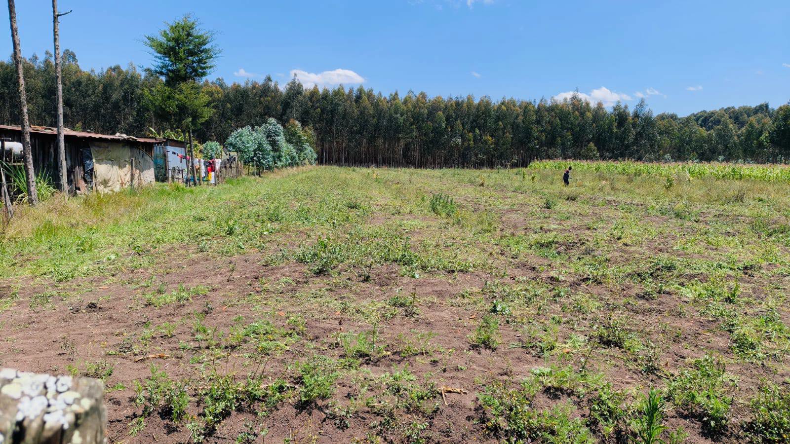 2 acres agricultural land for sale in jilet wanjohi, kipipiri Image