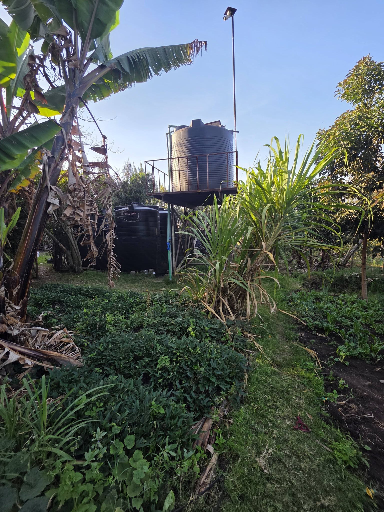 2 Acres for Sale in Ngong – Olkeri