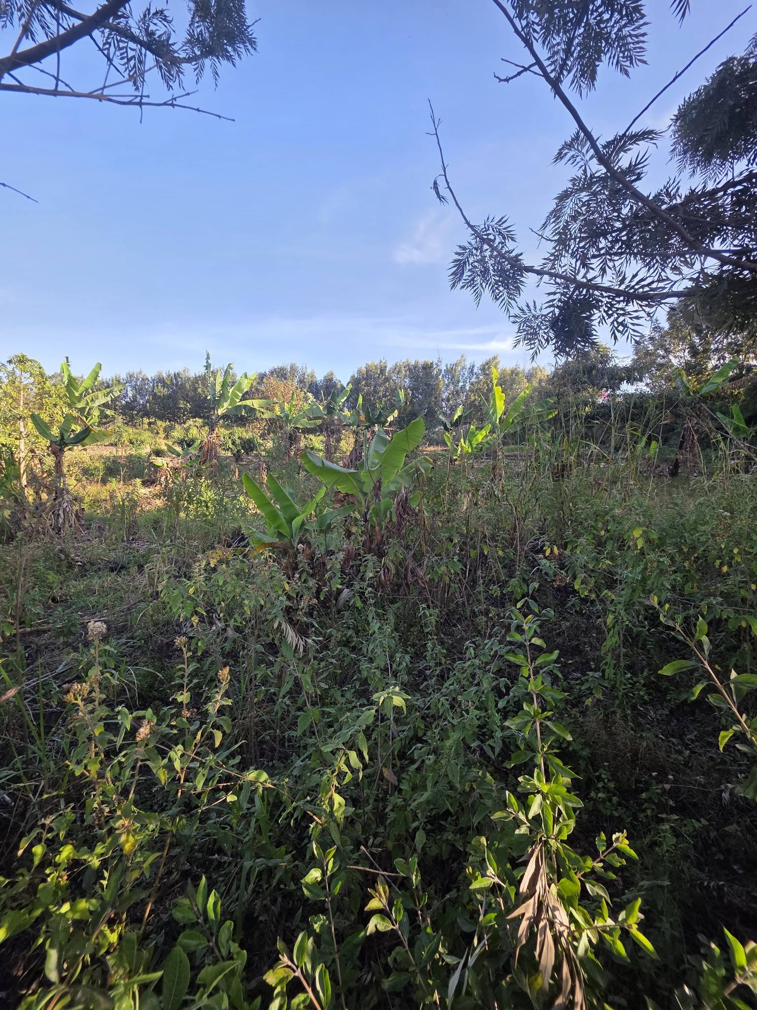 2 Acres for Sale in Ngong – Olkeri