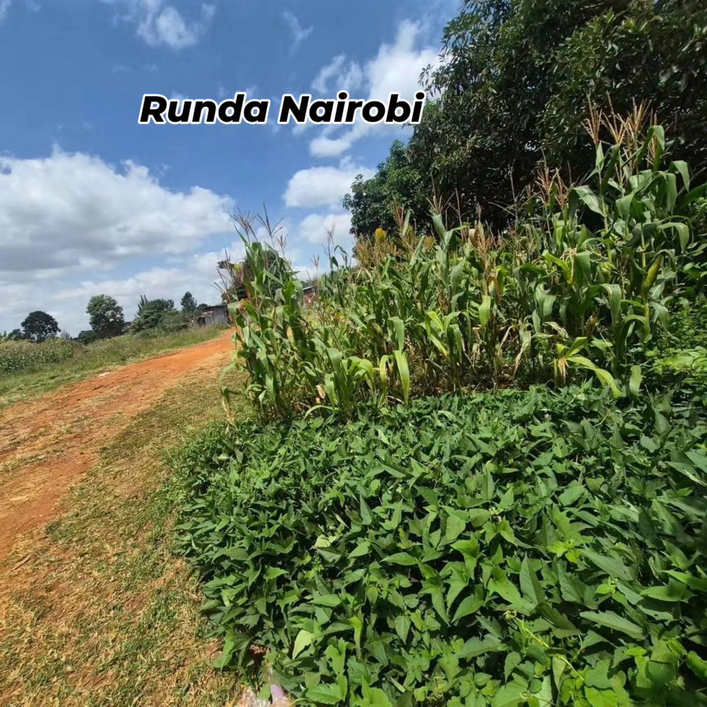 2 Acres Land for Sale At old runda