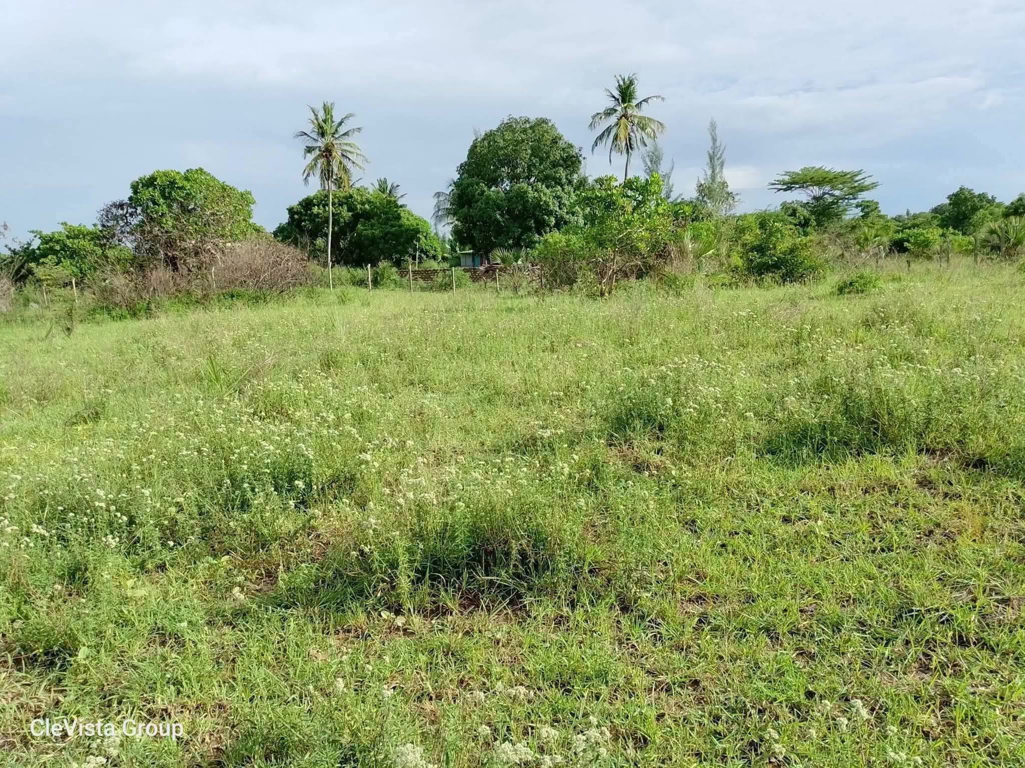 2 acres land for sale in dongo kundu
